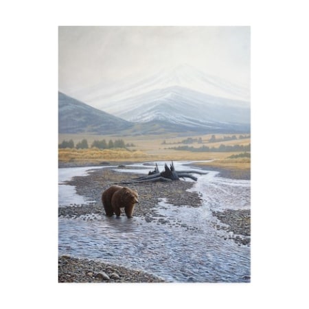 Michael Budden 'Wilderness Walk' Canvas Art,24x32